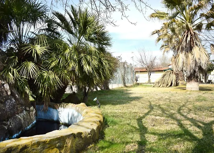 Close To The 奥马斯帕纳吉亚斯