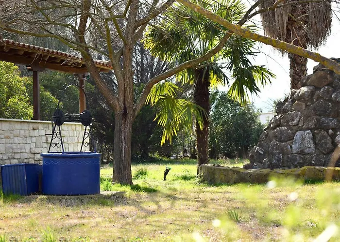 Close To The * 奥马斯帕纳吉亚斯