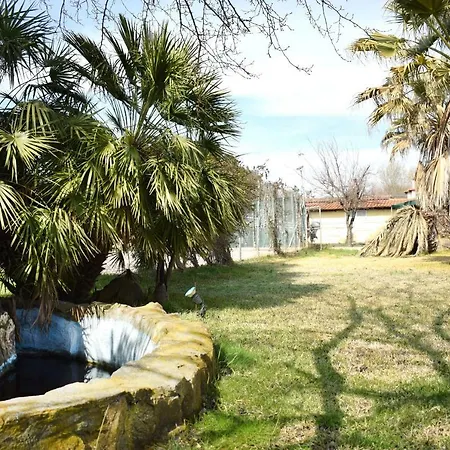 Close To The Ormos Panagias